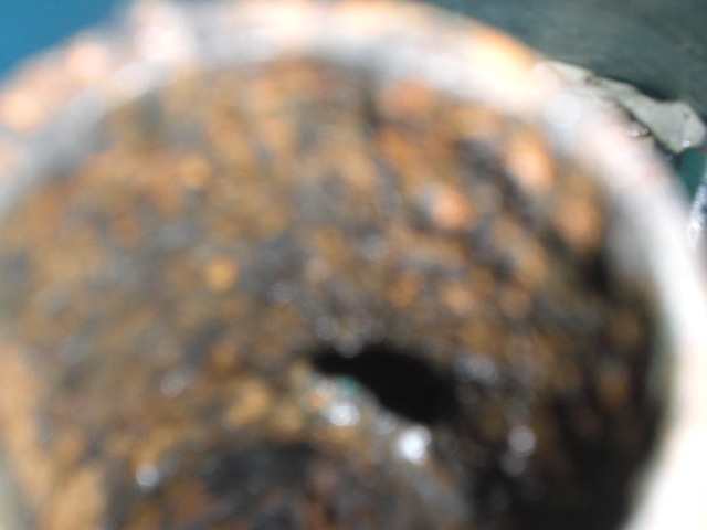 [Immagine: 2012115122019_CIMG0036.JPG]
